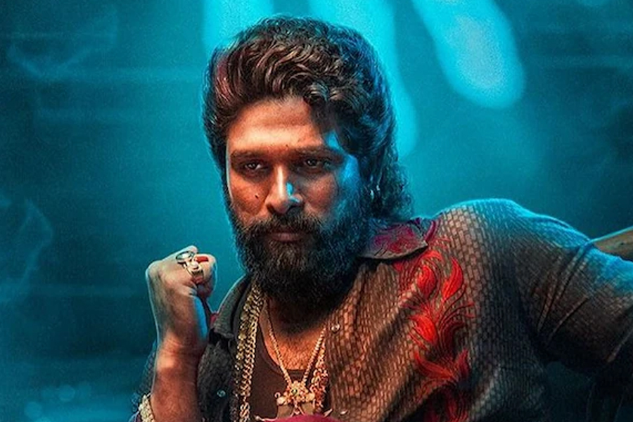 ‘पुष्पा २’ ले विश्वभर कमायो १४ सय करोड, तेलुगुभन्दा हिन्दीमा धेरै