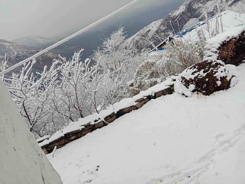 दार्चुलामा हिमपात र वर्षा, चिसो बढ्यो