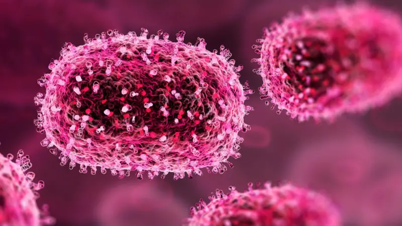 चीनमा देखिएको एचएमपिभी भाइरस कति घातक ?