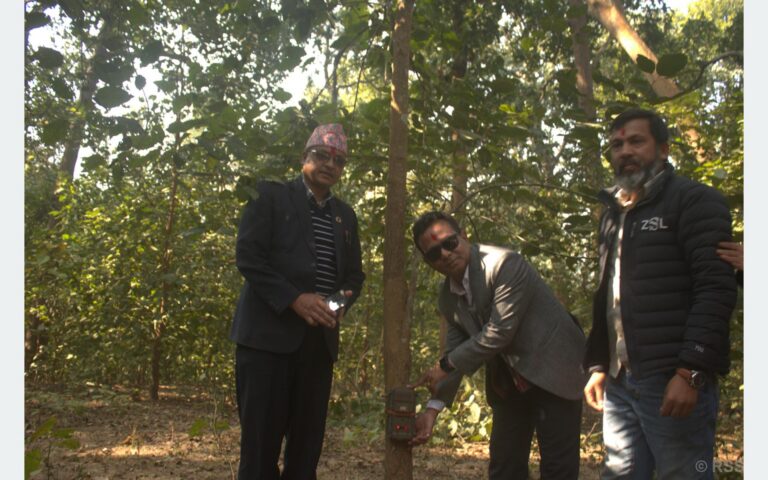 कम्दी करिडोरमा ९५ वटा क्यामेरा जडान