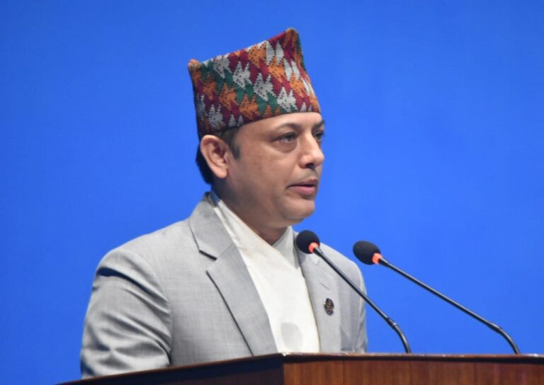 रवि लामिछानेमाथि सरकारले प्रतिशोध साध्यो, संसद्ले समर्थन गर्योः डीपी अर्याल