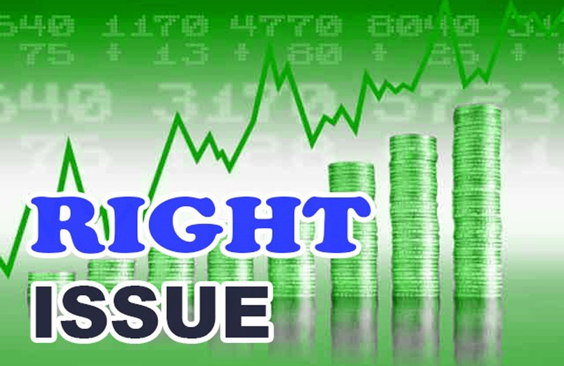 हिमालयन हाइड्रोपावरले हकप्रद शेयर निष्काशन गर्ने