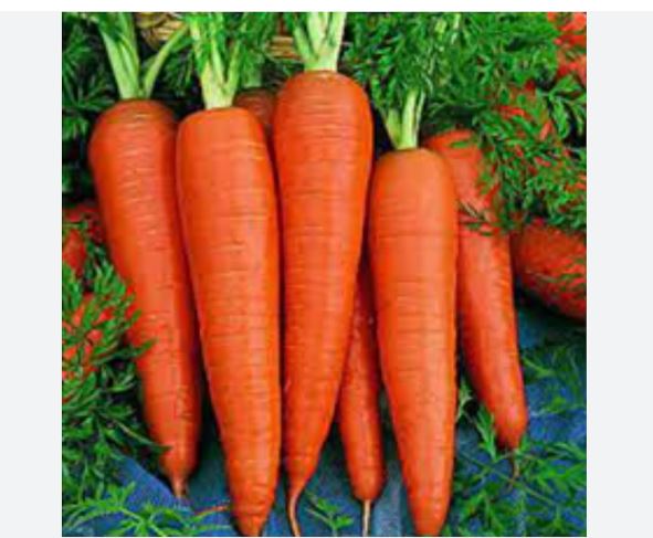 यी हुन् गाजर खानुका १० फाइदा