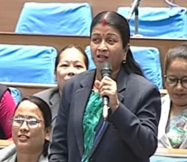 दाइजोप्रथा अन्त्यका लागि कानुन बनाएर तत्काल कार्यान्वयन गर्नुपर्छः मीना यादव