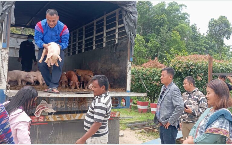महिला, अपाङ्गता भएका र विदेशबाट फर्किएकालाई बङ्गुरका पाठा