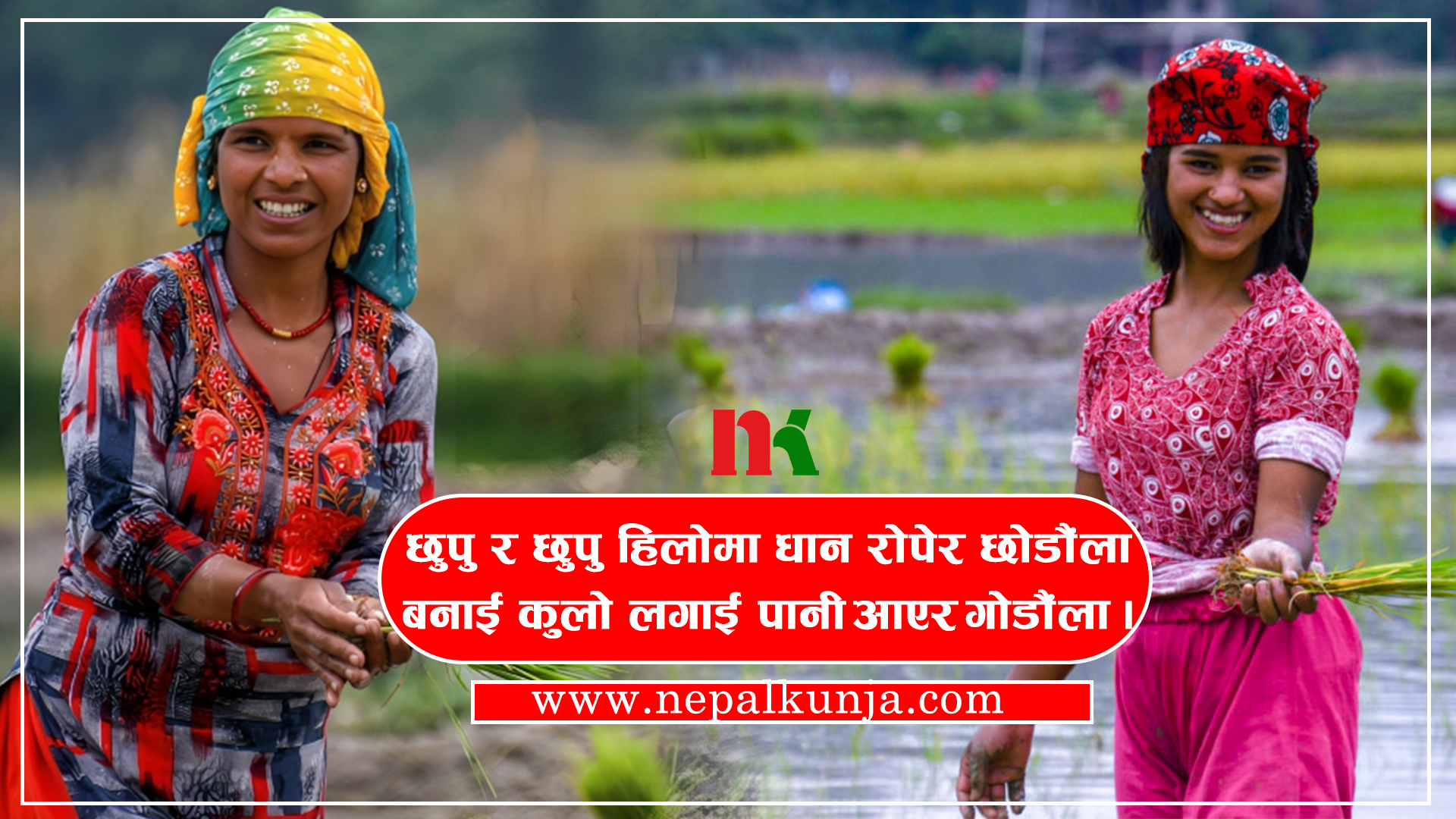 छुपुमा छुपु हिलोमा धान रोपेर छाडौंला…