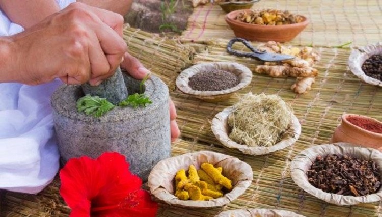 आयुर्वेद चिकित्सा पद्धतितर्फ आकर्षण बढ्दै