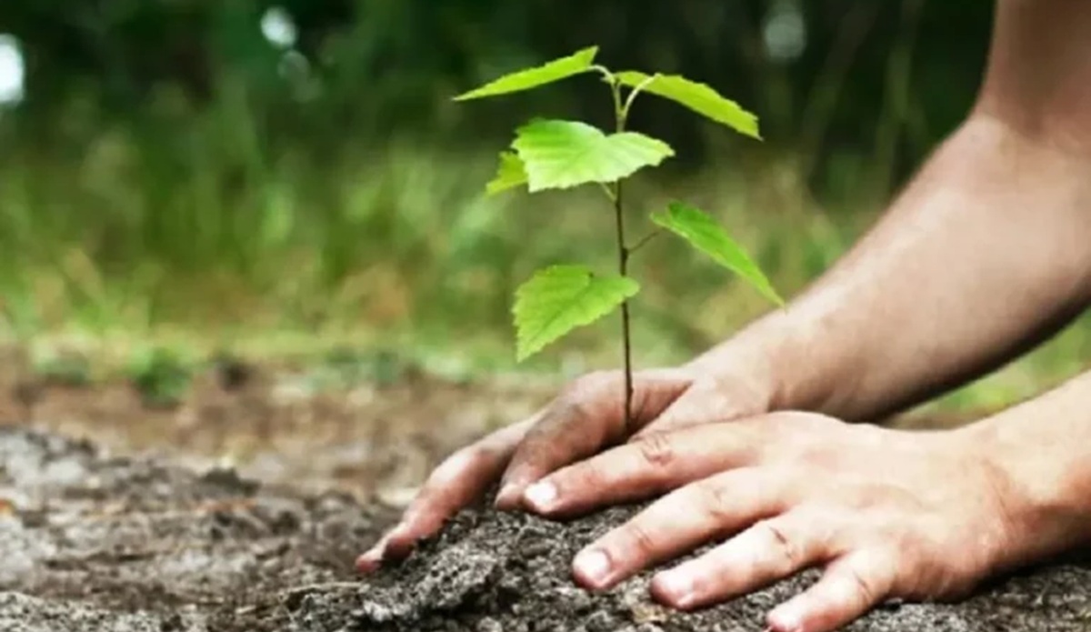 जैविक&hellip;