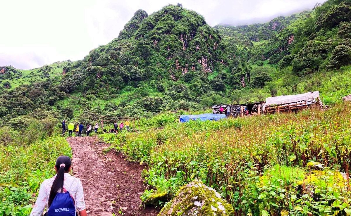 पर्यटक बढेपछि गोठालाको आम्दानी वृद्धि