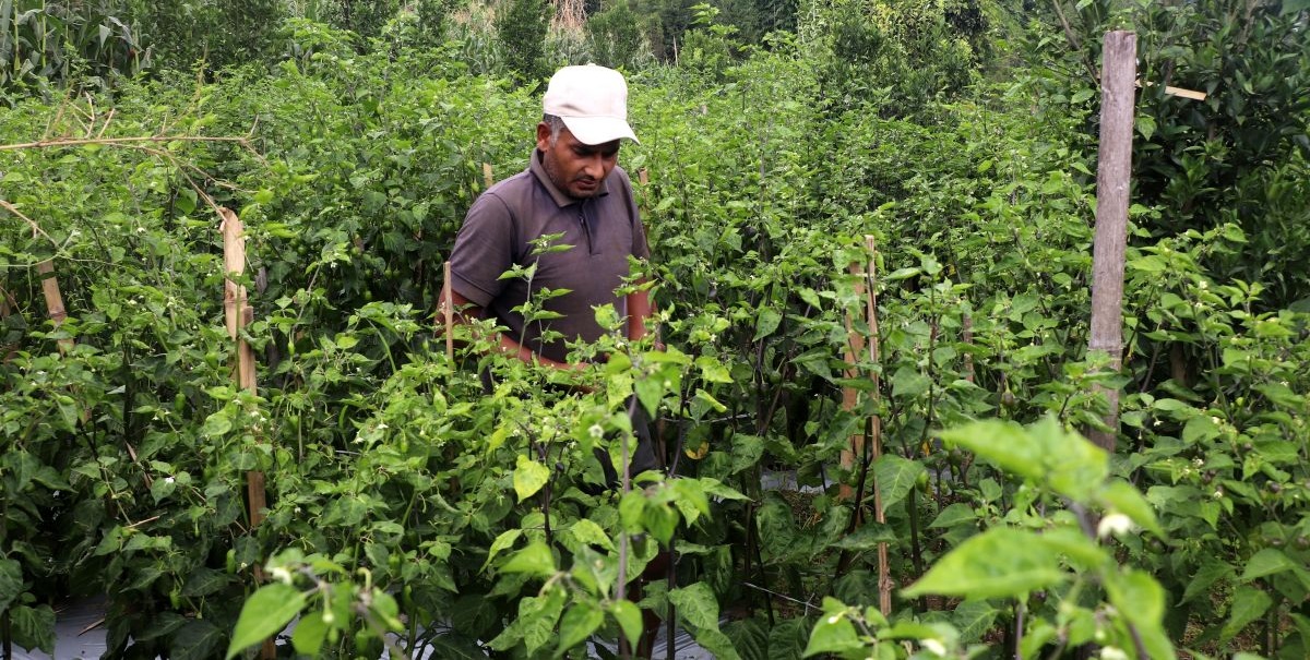 विदेश&hellip;